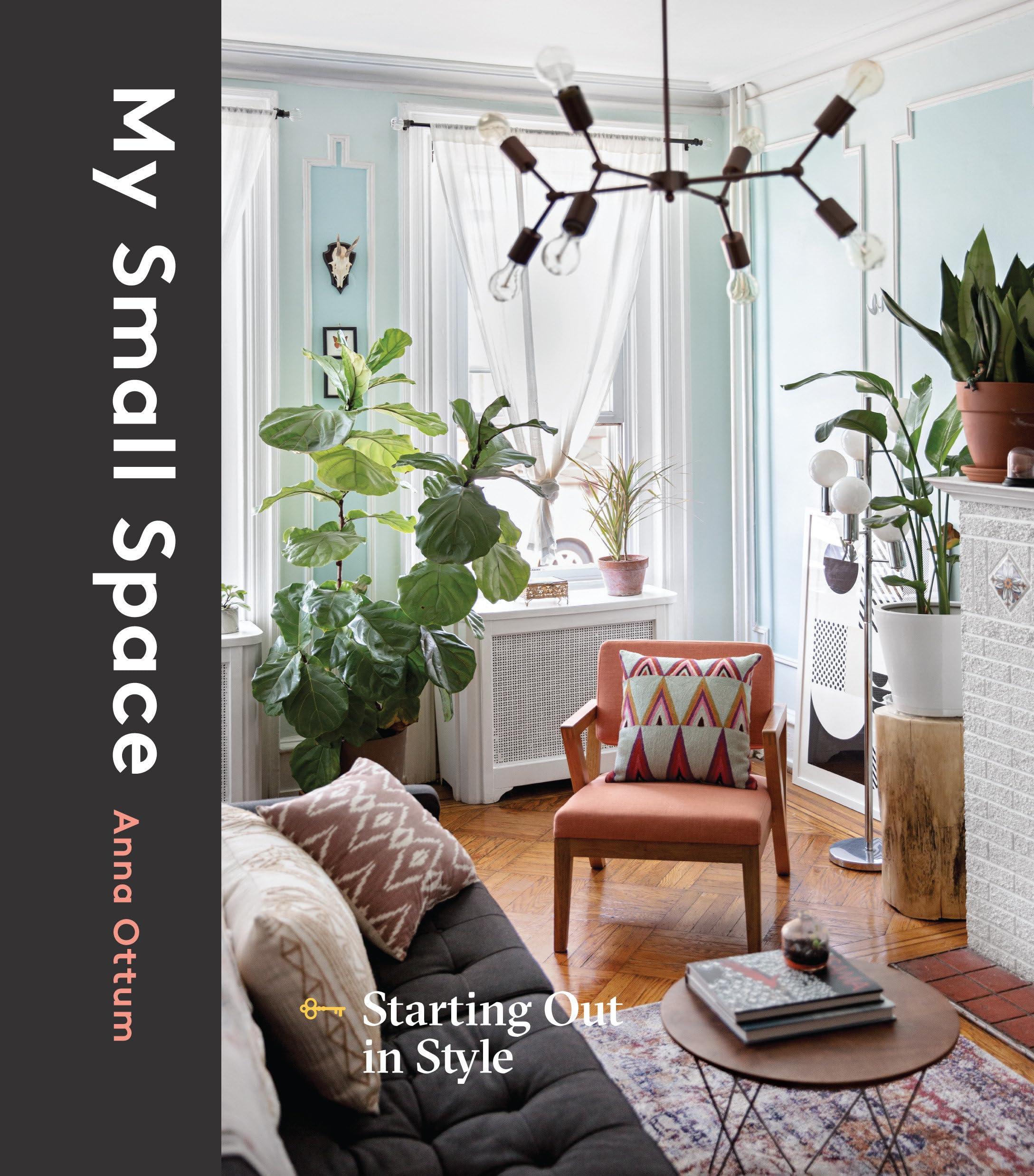 Cover of My Small Space by Anna Ottum